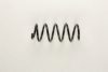 BILSTEIN 36-219650 Coil Spring